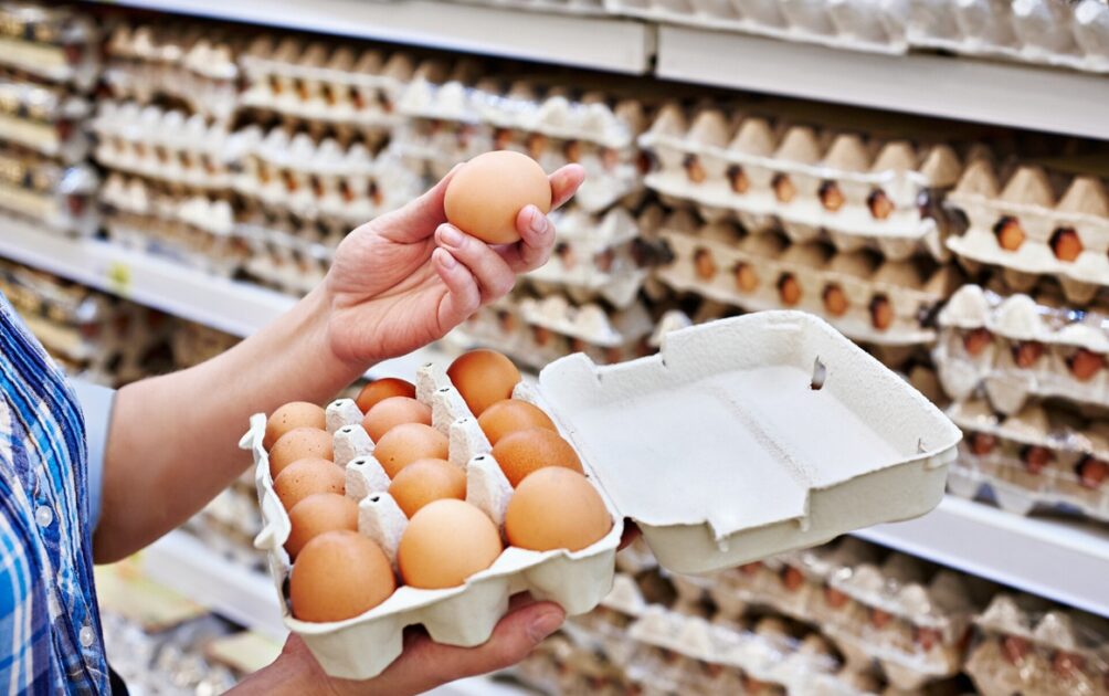 Venda externa de ovos atinge patamar histórico e fortalece setor agropecuário brasileiro